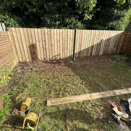 Timber fence panels installed along a garden boundary in Glasgow
